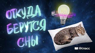 Познавательный мультфильм «Министерство фактов». Откуда берутся сны?