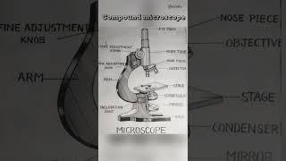 Compound microscope  #microscope #shorts #edukaofficial