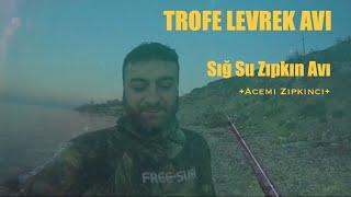 TROFE LEVREK Sığ Su Zıpkın Avı (Acemi Zıpkıncı) Spearfishing