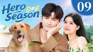 Hero Dog Season 09丨Smart dog fights crime and helps Zhang Yunlong and his girlfriend fall in love