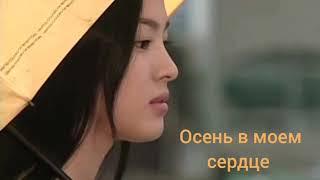 Осень в моем сердце / Autumn in My Heart