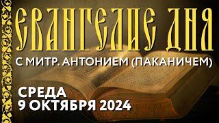 Толкование Евангелия с митрополитом Антонием (Паканичем). Среда, 9 октября 2024 года.