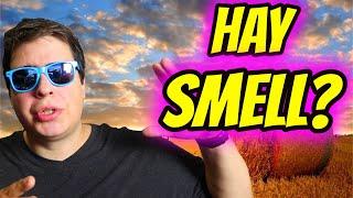 THE HAY SMELL…WHAT IS IT AND HOW TO GET RID OF IT!