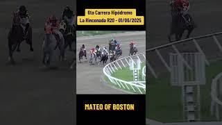 MATEO OF BOSTON - 6ta Carrera Hipódromo La Rinconada R20 #foryou #inh #caballos #hipismo #parati