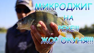 МИКРОДЖИГ рулит Злой окунь на реке ЖОР??? Начало!!!