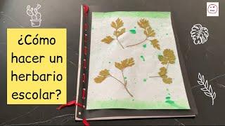 Herbario escolar -  @BiologíayEcología #experimentossencillosdebiología
