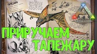 Ark Survival Evolved - Приручение Tapejara (Тапежара)