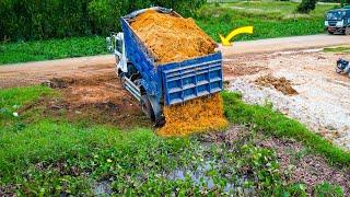 Start a New Project! Landfill on Flooded Pond, Bulldozer KOMATSU & 5Ton Dump Truck Pushing Soil