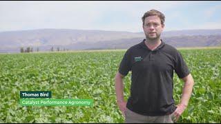 Sustainable Prospects optimises irrigation resources with Crop X Technology - Catalyst