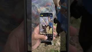 iPhone 16 pro camera issue