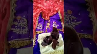 Trending Punjabi suit #ytstudio #ytshortsindia #ytshort #viralshorts #newupdate #newshorts #shorts