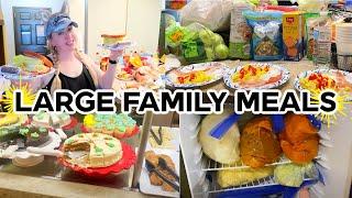 CHEAP BUDGET LARGE FAMILY MEALS on VACATION  Hotel Room Breakfasts, Lunches, Dinners, Snacks!