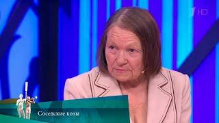 МЖ. Соседские козы.  20.10.2023