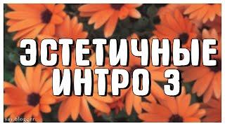 ЭСТЕТИЧНЫЕ ИНТРО БЕЗ ТЕКСТА // ЧАСТЬ 3 // SAY BLOGGER //