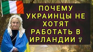 ПОЧЕМУ УКРАИНЦЫ В ИРЛАНДИИ НЕ ХОТЯТ  РАБОТАТЬ ??