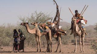 Amazing Mat Tents of North Ethiopia - Danakil Desert Dwellers