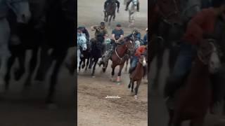 Бахтовар човандоз #buzkashi #uloq #kupkari #tajikistan #uzbekistan #tashkent #dushanbe #kokpar #tjk