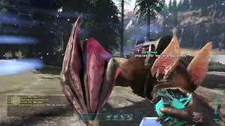 Ark  /50x absolut pvp