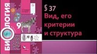 Биология 9 класс. Вид, его критерии и структура