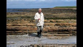 The Prince of Wales reflects on 50 years since his first speech on the environment