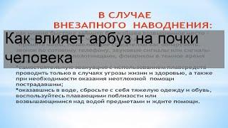 Как влияет арбуз на почки человека