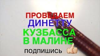 081 ПРОВЕДАЕМ ДИНЕТТУ КУЗБАССА В МАЛИНЕ КРУПНЫМ ПЛАНОМ