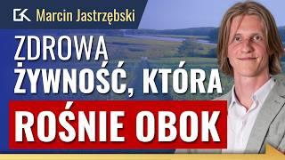 Twórcy aplikacji EDEN:  Gdzie znajdziemy PRAWDZIWE  SUPERFOODS ? – Marcin Jastrzębski | 412