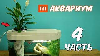 Аквариум XIAOMI. Часть 4. Посадил Цветок. Реакция Муравьев на корм для рыбок.