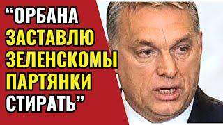 Зеленский СХВАТИ Орбана :ШОК! Саммит в Будапеште: Опасность растет! Шольц ошалел