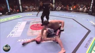 Спорт VINE Gabriel Gonzaga vs Mirko Cro Cop