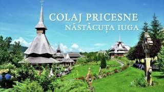 PRICESNE -colaj- @NastacutaIuga