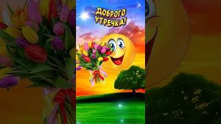 С добрым утром и хорошим днем! Весёлая открытка для отличного настроения
