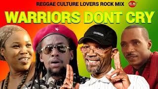 REGGAE LOVERS MIX 2024.BERES HAMMOND.SANCHEZ.JAH CURE.QUEEN IFRICA