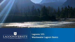 Lagoons 101: Wastewater Lagoon Basics