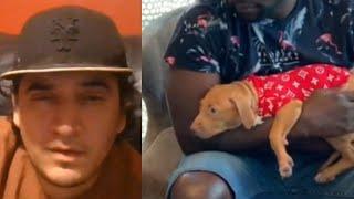 Luis Urias (Tony Montana APBT) Attacks Innocent Couples 11 Week Old Puppy