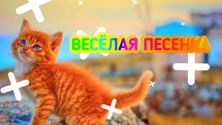  ВЕСЁЛАЯ ПЕСЕНКА Я НЕ МЕЛКИЙ И НЕ ДРЫЩ И ПОДПИСЧИКОВ 100 000