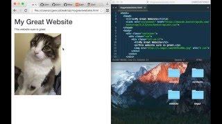 How to: Free Website Hosting + Custom Domain with Github Pages