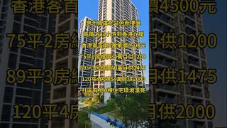 惠州高鐵北站旁新樓盤​高鐵2站1小時到香港九龍​香港客首期5萬單價4500元​75平2房總價34萬 89平3房總價40萬120平4房總54萬 #惠州房產 #一手樓航拍 #熱門 #航空新城樓盤