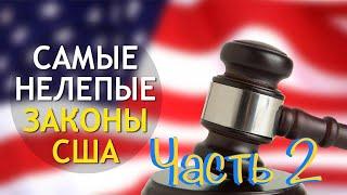 Нелепые Законы США часть 2. Смешные Законы США Часть 2. Ржачные Законы часть 2.