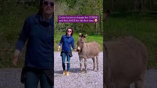 Cerise learning to Change her Stride and Balance #horsetrainingtips #horsetraining