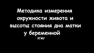 Оценка высоты стояния дна матки и окружности живота у беременной - meduniver.com