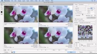 Saving images for the web in Photoshop CC