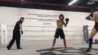 tatsujin mma kickboxing