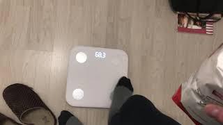 Xiaomi Smart Weight Scale - 1kg test accuracy