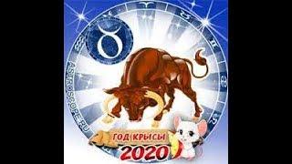 ТЕЛЕЦ ГОРОСКОП на 2020 год