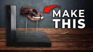 How to Cut a Skull in Half (AKA Bisected Skull)