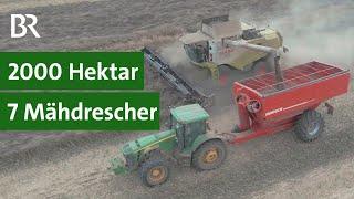 Landwirtschaft in Russland: Ernte mit sieben Mähdreschern | Landtechnikvideos |