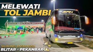 LEWAT TOL BARU JAMBI LEBIH CEPAT | Blitar Pekanbaru Naik Executive Class SAN #4