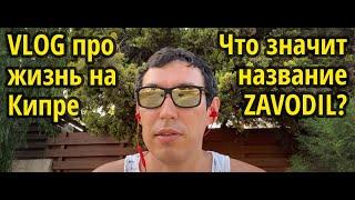 VLOG: где я живу, что значит название Zavodil