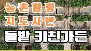 농촌힐링 농대 교수의 시골살이 상추를 이렇게 키운다